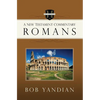 Romans: A New Testament Commentary - Paperback