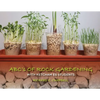 Abc's of Rock Gardening with Ketcham Es Students - Paperback