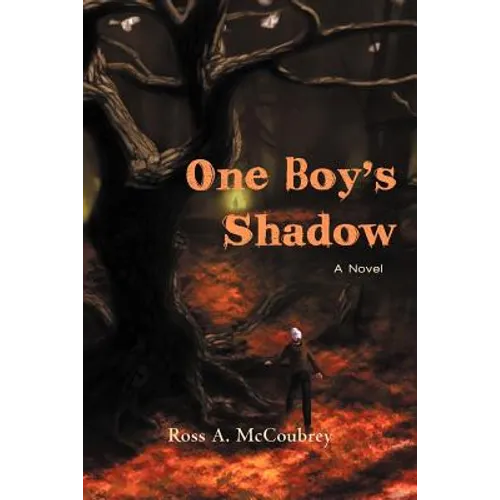 One Boy's Shadow - Paperback