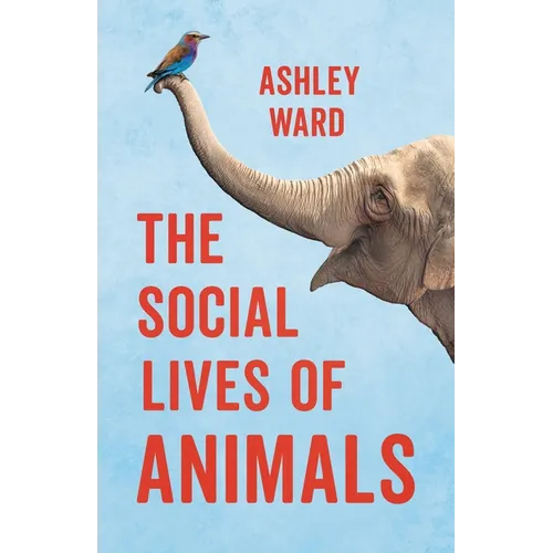 The Social Lives of Animals - Hardcover