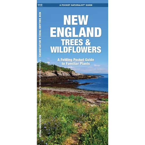 New England Trees & Wildflowers: A Folding Pocket Guide to Familiar Plants - Paperback