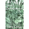 Are You Multidimensional: Travel Through Space and Time - Paperback