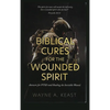 Biblical Cures for the Wounded Spirit: Answers for PTSD and Healing the Invisible Wound - Hardcover