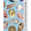 The Shell-Spotter's Guide - Hardcover