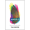 Angels: When Heaven Meets Earth - Paperback