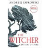 Baptism of Fire - Paperback