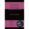 Process Theology: Embracing Adventure with God - Paperback