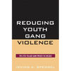 Reducing Youth Gang Violence: The Little Village Gang Project in Chicago - Paperback