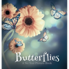 Butterflies, A No Text Picture Book: A Calming Gift for Alzheimer Patients and Senior Citizens Living With Dementia - Hardcover