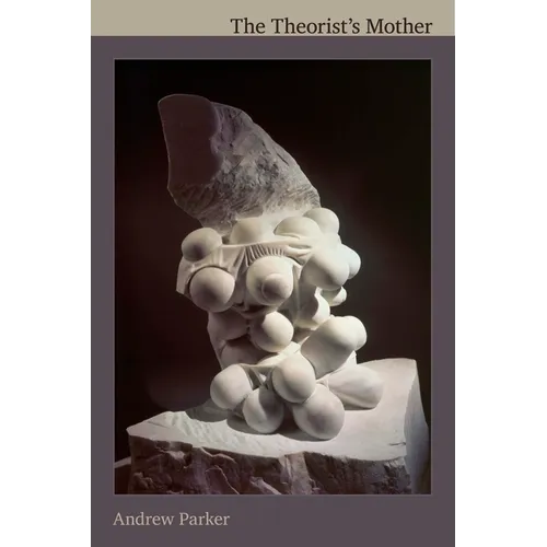 The Theorist's Mother - Paperback