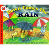 Down Comes the Rain - Paperback