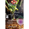 Welcome to Jessie's: A vampire, a ghost, and a fairy walk into a bar... - Hardcover