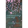 Providence for a First Mom - Hardcover