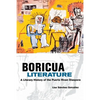 Boricua Literature: A Literary History of the Puerto Rican Diaspora - Paperback