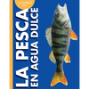 Curiosidad Por La Pesca En Agua Dulce - Paperback