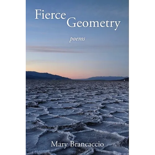 Fierce Geometry - Paperback