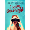 The Big Overnight: Book 3 in the Stella Reynolds Mystery Series - Paperback