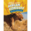 African Lionesses: Hunters of the Pride - Paperback