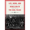 Life, Work, and Rebellion in the Coal Fields: The Southern West Virginia Miners, 1880-1922 - Paperback