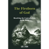The Firstborn of God: Resolving the Contradictions in the Bible - Paperback
