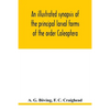 An illustrated synopsis of the principal larval forms of the order Coleoptera - Paperback