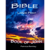 Bible Large Print Word Search: Book of John - Paperback