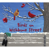 Birds on Wishbone Street - Hardcover
