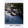 Woman: More Than Just a RIb - Paperback