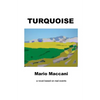 Turquoise - Paperback