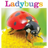 Seedlings: Ladybugs - Paperback