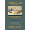 Spirituality of Awe (Revised Edition): Challenges to the Robotic Revolution - Paperback