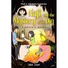 Naji and the Mystery of the Dig, Graphic Novel - Paperback