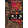 Black Madonna: A Womanist Look at Mary of Nazareth - Paperback