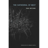The Cathedral of Mist - Paperback
