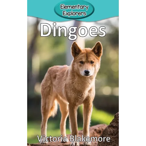 Dingoes - Hardcover