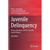 Juvenile Delinquency: Theory, Research, and the Juvenile Justice Process - Paperback