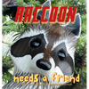 Raccoon Needs a Friend: A unique and beautiful children's picture book about friendship and being brave when you are shy - Hardcover
