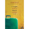A Night with a Black Spider - Paperback