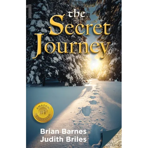 The Secret Journey - Paperback