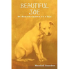 Beautiful Joe - Paperback