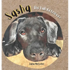 Sasha the Lab Retriever - Hardcover