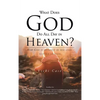 What Does God Do All Day In Heaven - Hardcover