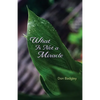 What Is Not a Miracle - Paperback