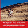 Could you live like a Tarahumara? ¿Podrías vivir como un tarahumara? Bilingual Spanish and English - Paperback