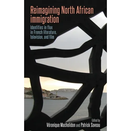 Reimagining North African Immigration: Identities in Flux in French Literature, Television, and Film - Paperback