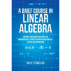 A Brief Course in Linear Algebra: Matrices and Matrix Equations for Undergraduate Students in Applied Mathematics, Science and Engineering - Paperback