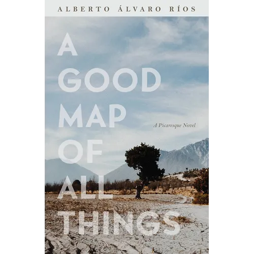 A Good Map of All Things: A Picaresque Novel - Paperback