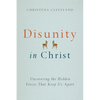 Disunity in Christ: Uncovering the Hidden Forces that Keep Us Apart - Paperback