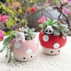 Kawaii Mushroom Succulents Plant Pots