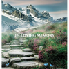 Funeral Guest Book, "In Loving Memory", Memorial Service Guest Book, Condolence Book, Remembrance Book for Funerals or Wake: HARDCOVER. A lasting keep - Hardcover